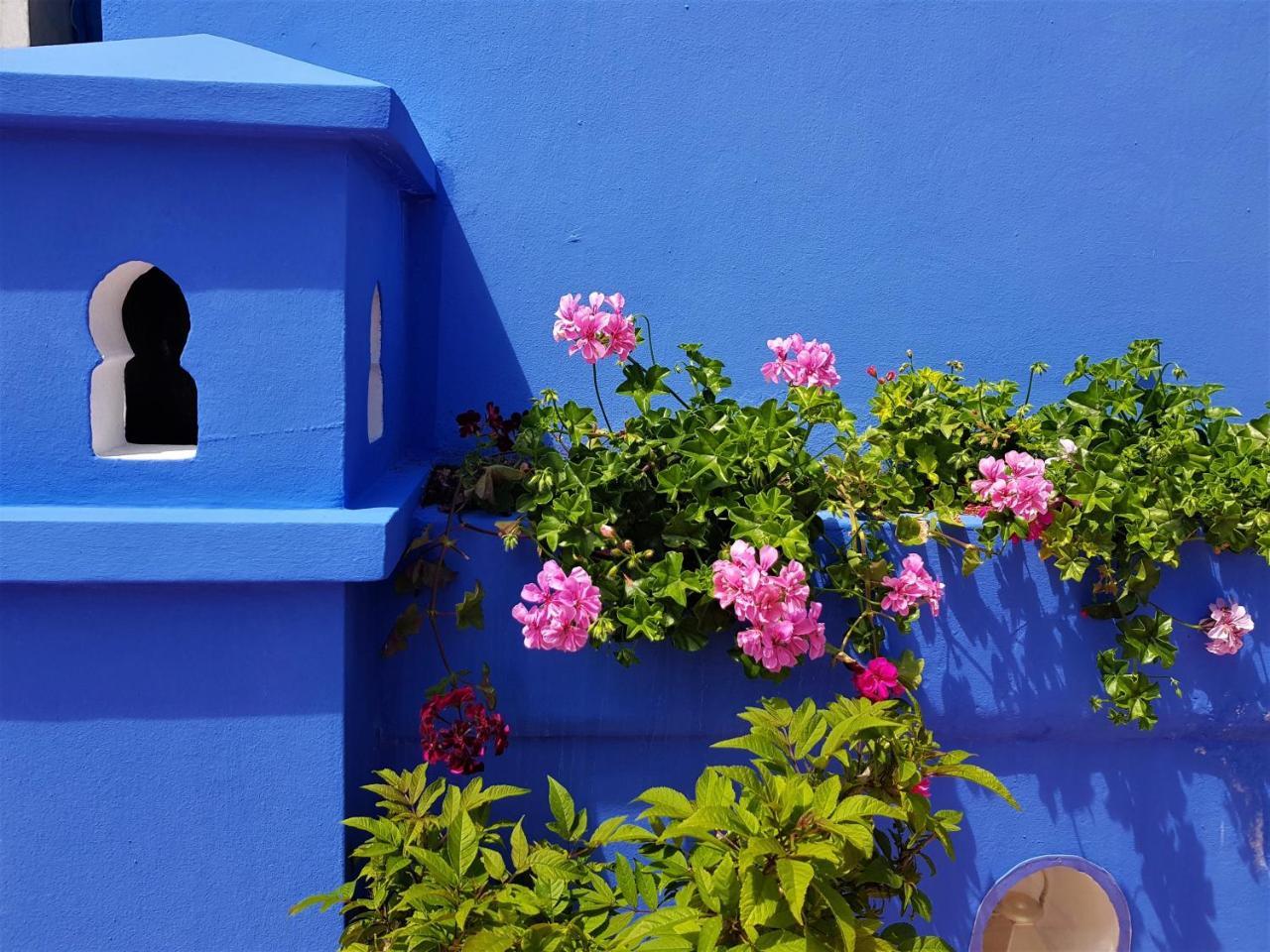 Dar Manara - Medina D'Asilah Exterior foto